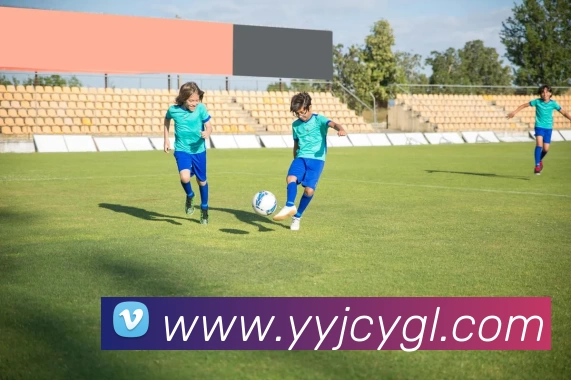 ag九游会平台生态图